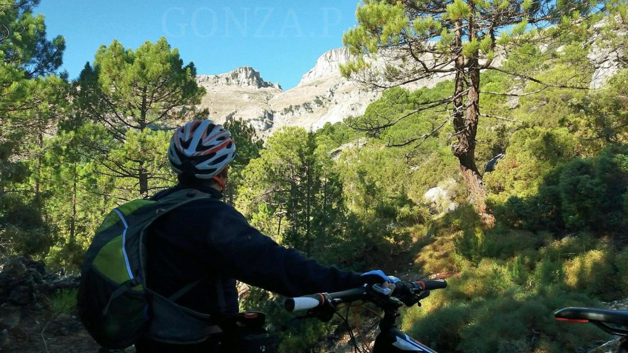 Las Encinas يستي المظهر الخارجي الصورة