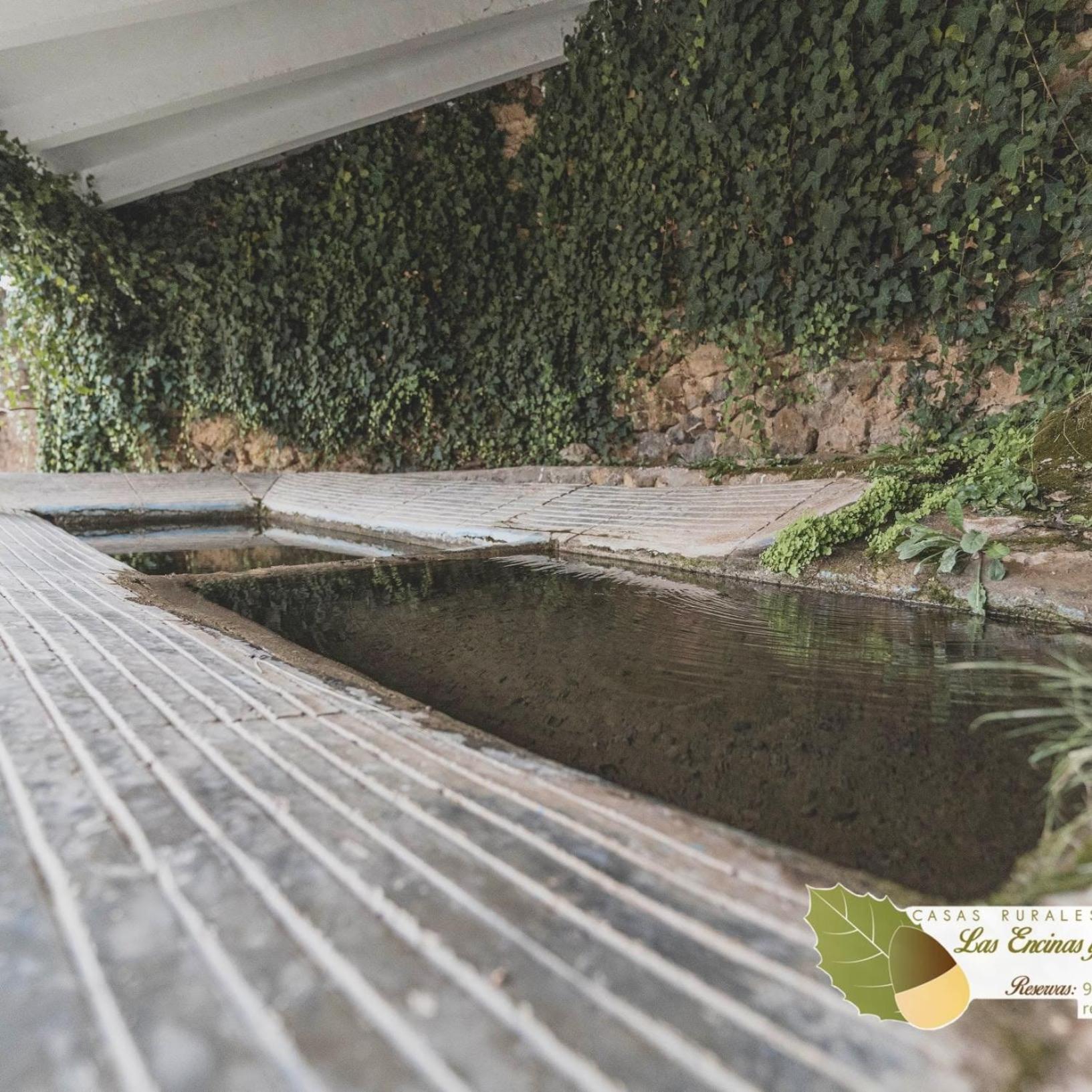 Las Encinas يستي المظهر الخارجي الصورة